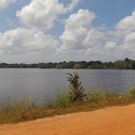 Wild View Stay Habarana Exterior foto
