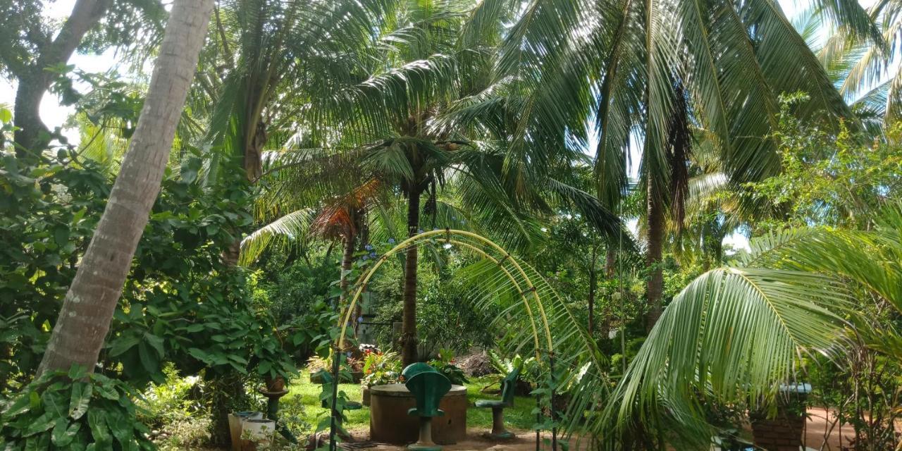 Wild View Stay Habarana Exterior foto