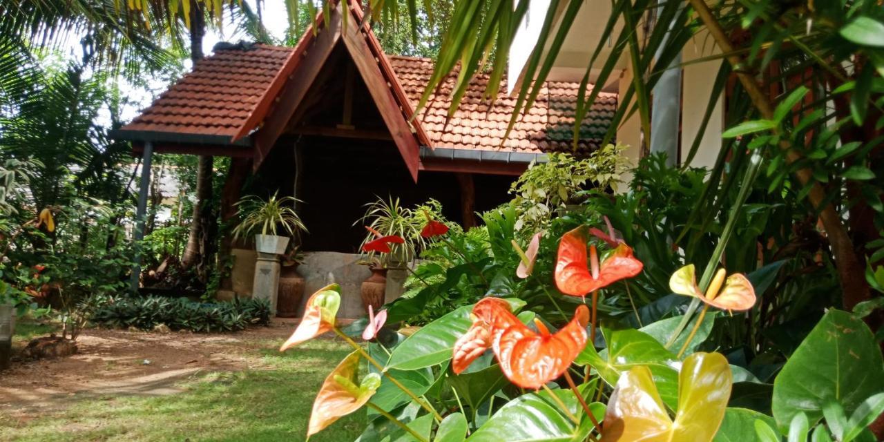Wild View Stay Habarana Exterior foto