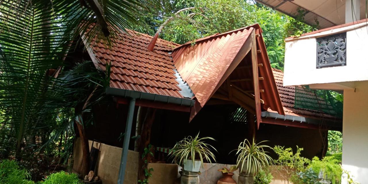 Wild View Stay Habarana Exterior foto