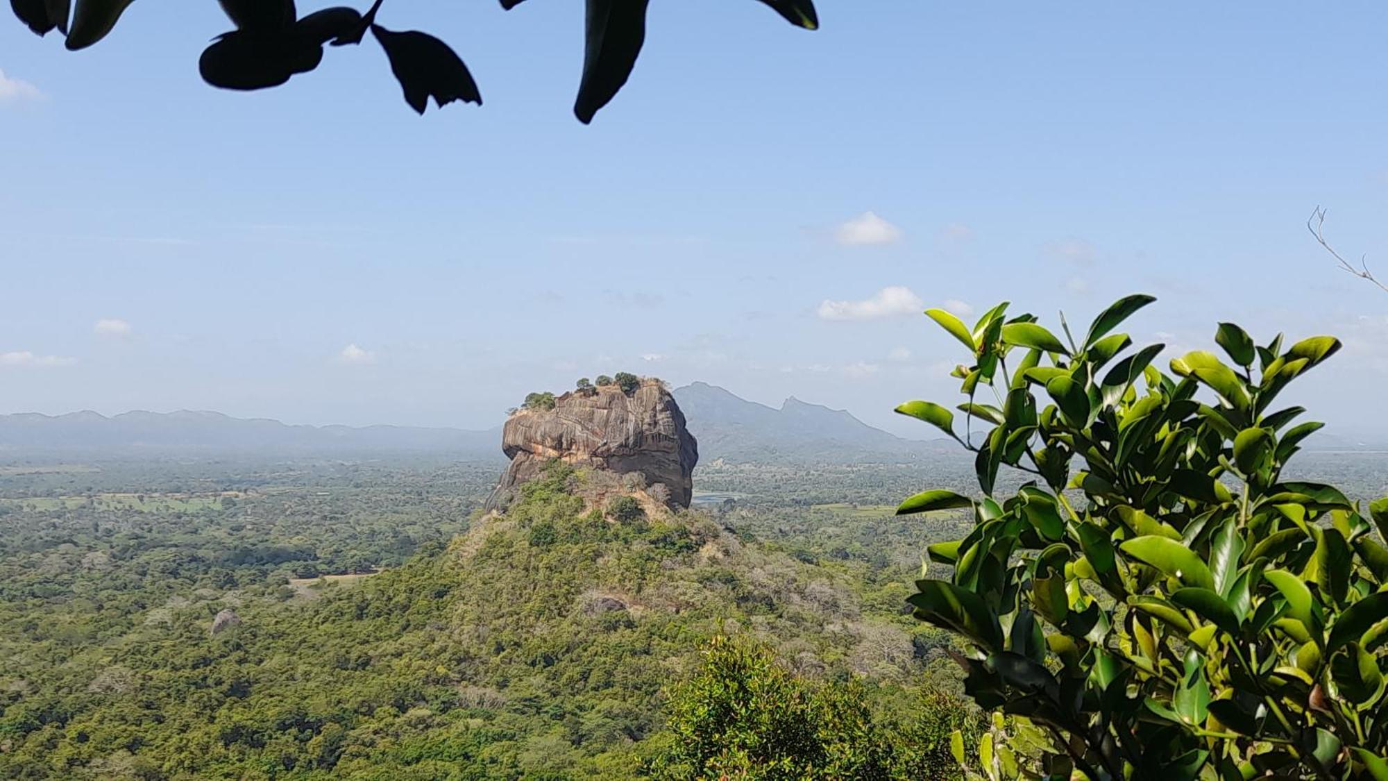 Wild View Stay Habarana Exterior foto