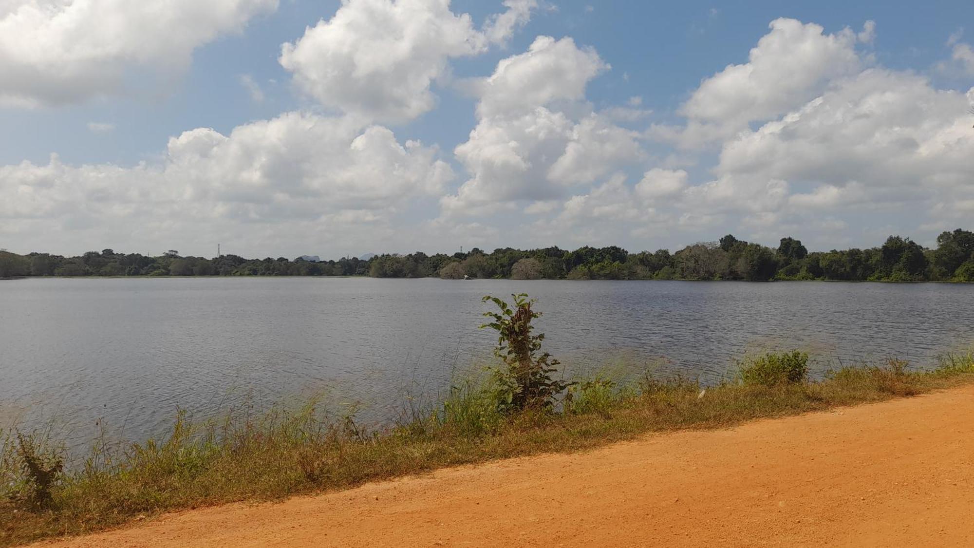 Wild View Stay Habarana Exterior foto