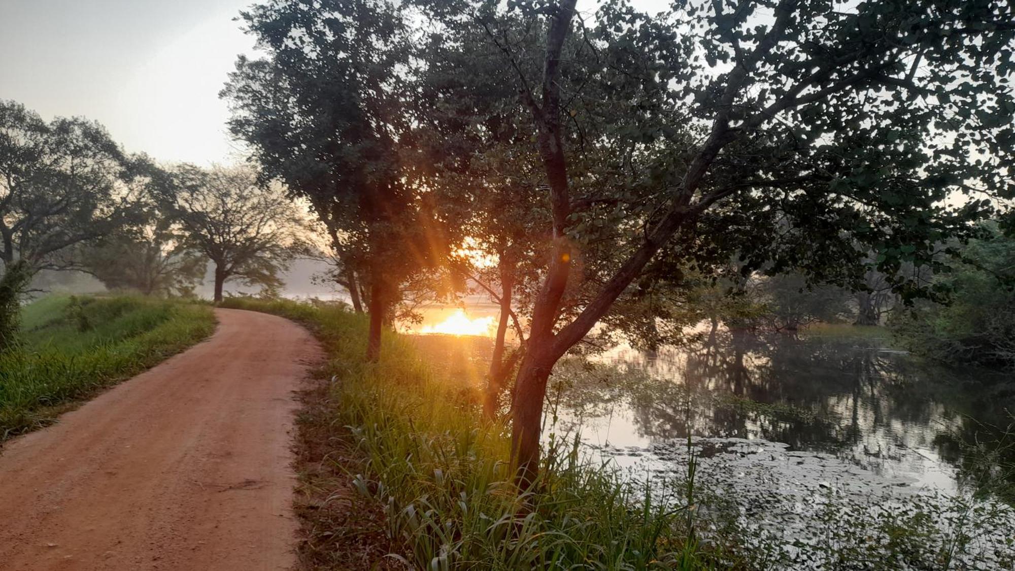 Wild View Stay Habarana Exterior foto